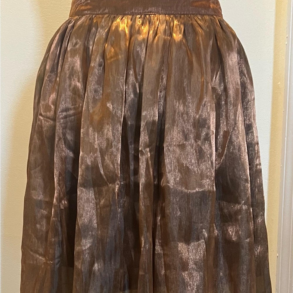 Sheer Copper Skirt
